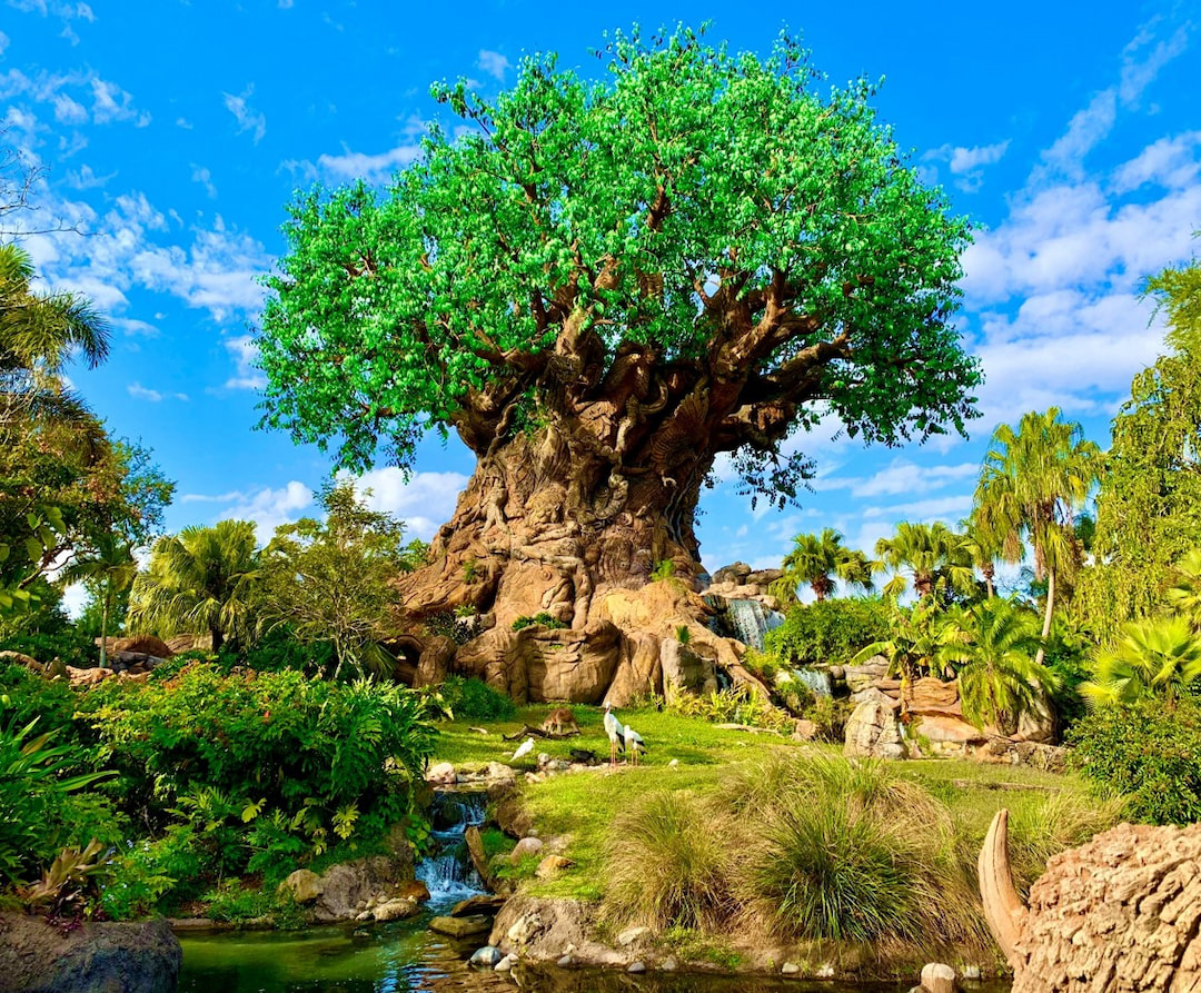 Disney’s Animal Kingdom