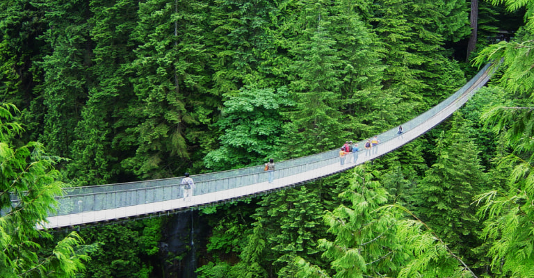 Capilano Suspension Bridge